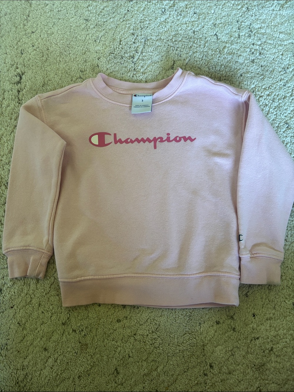 Champion Kids Soft Pink Crewneck Sweatshirt with Hot Pink Logo